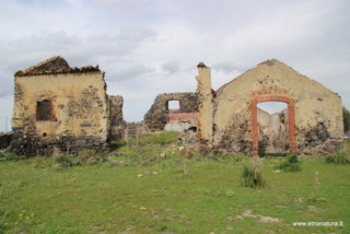 ammena-26-02-2023 13-44-37